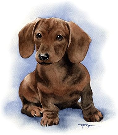dachshund watercolor painting