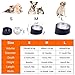 Super Design Mess Free 15 Degree Slanted Bowl for Dogs and Cats 1.5 Cup Light Blue