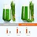 Juicer Machines, HOMEVER Slow Masticating Juicer for Fruits and Vegetables, Quiet Motor, Reverse Function, Easy to Clean Hight Nutrient Cold Press Juicer Machine with Juice Cup & Brush, BPA-Free