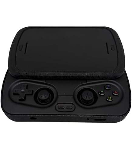 Amazon.com: WERJIA Hard Carrying Case Compatible with RG Slide