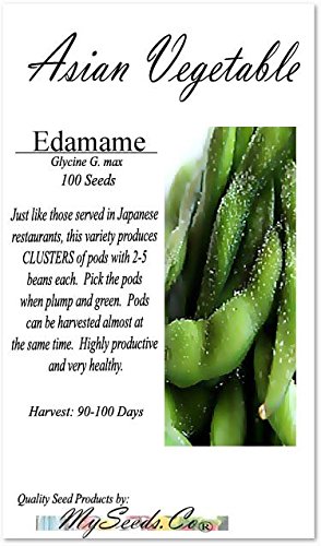 BIG PACK (100) Japanese Edamame seeds - HIGH IN PROTEIN - Young Soy Bean - 80-90 Days - Non-GMO Seeds by MySeeds.Co (BIG PACK - Japanese Edamame) - Thumbnail 6