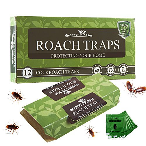 Greener Mindset 12 Pack Cockroach Traps with Bait Included - Premium Glue Trap - Eco-Friendly - Non-Toxic - Chemical Free - Spiders Ants Roach Killer