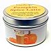 Soy Candle Travel Tins - Highly Scented - Handmade in The USA - Floral Scents… (Pumpkin Spice Latte)
