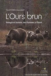 L' ours brun
