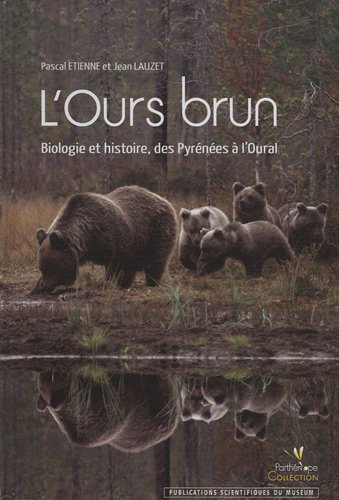 L' ours brun