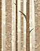 Notebook: birch tree tree alder deciduous hazel conifer oak beech maple hornbeam fir by Wild Pages Press