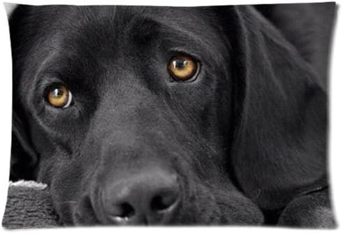 pillow and Outdoor Throw Pillow Black lab Labrador Retriever Zippered 18 inch (two sides)