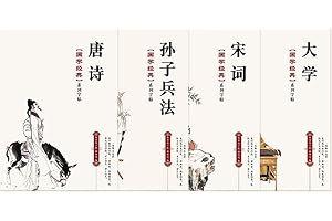 IZEO Chinese Calligraphy Paper Book Handwriting Practice Tracing Copybook Pen Handwriting Exercise (Set 1), Clear,Gray