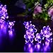 Fairy Lights Christmas Decorative Lights 33 Feet 100 LEDs, 8 Flash Modes with Tail Plug Connectable Cherry Flower Decoration Novelty Light for Party, Patio, Wedding, Home and Garden