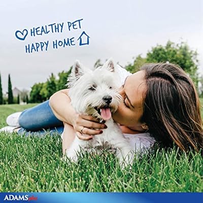 adams medicated dog shampoo