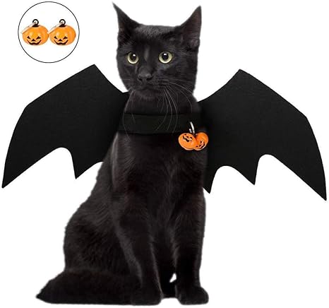 Minions Boutique Halloween Chat Collier Harnais Ailes De Chauve Souris Decor Puppy Animal Domestique Chat Noir Bat Dress Up Funny Cat Vetements Accessoires Amazon Fr Animalerie Minions Boutique Halloween Chat Collier Harnais Ailes De Chauve Souris Decor Puppy Animal Domestique Chat Noir Bat Dress Up Funny Cat Vetements Accessoires Amazon Fr Animalerie