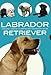 Labrador Retriever: Historia, higiene, alimentación, educación y salud / History, hygiene, food, e by 