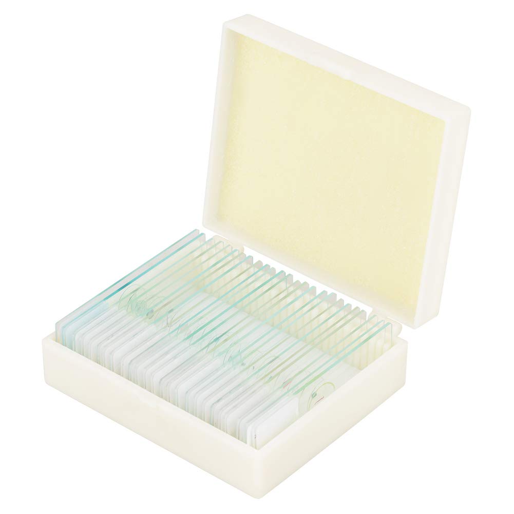 25pcs Microscope Slide Biology Glass Pre-made microscope Slides Laboratory specimen Box