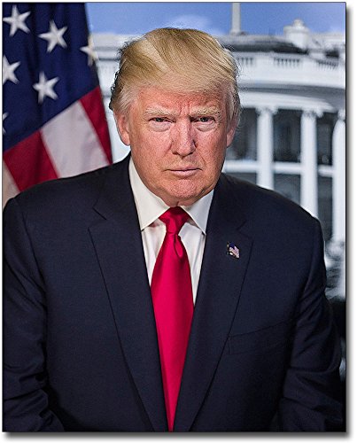 President Donald Trump Official Presidential Portrait 8x10 Silver Halide Photo Print