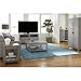Ameriwood Home Carver End Table, Gray
