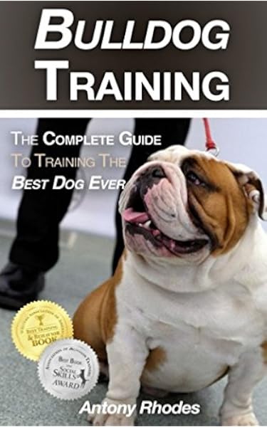 english bulldog potty training