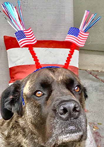 4 Sea+View+Treasures+Patriotic+Bopper