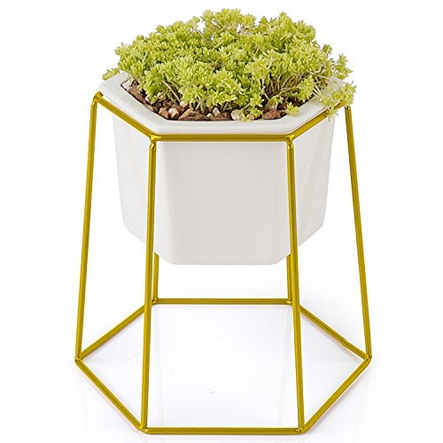 Greenaholics Succulent Pots - 4.9 inch Hexagon Ceramic Planters with Golden Iron Frame, Pots for Succulent, Cactus, White