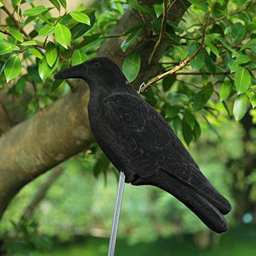 New-look Crow Decoy Hunting Garden Flocked Hard Plastic Jet Black Crow Decoy Hunting Stand Body Feet Stake