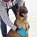 misterrmar Pet Grooming Glove Brush - Gentle Massage Tool and Hair Removal for Dogs Cats and Horses - for Long Short Or Curly Hair Comb - Effective Pet Grooming Deshedding Brush for Healthy Coat