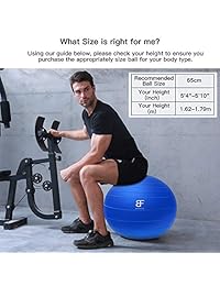 buzzyfuzzy 65 cm Exercise Ball Perfect for Balance Yoga Pilates Strength core Training,Suitable Home Gym Office Desk Chair,with Stability Holder Base,Quick Pump Include(Blue)