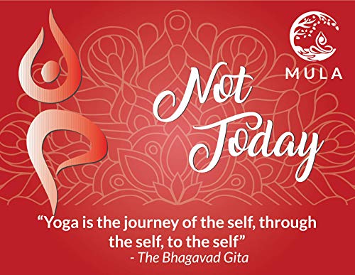 Mula-Yoga-Consent-Cards-Flip-Chips-for-Hands-On-Assists-Great-Gift-for-Instructors-or-Students-Set-of-15-Two-Sided-425-x-55-Pieces-for-Yes-and-No-with-Motivational-Quotes-and-Bag