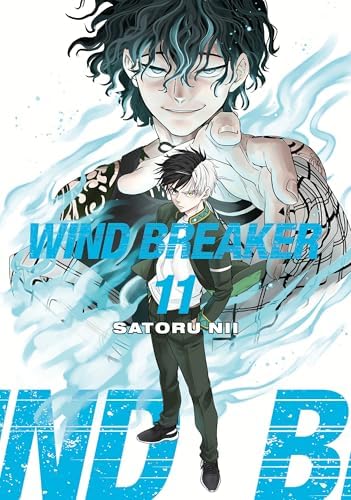 WIND BREAKER 12: Nii, Satoru: 9781646519590: Amazon.com: Books