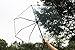 HappyGo Full Automatic Folding Transparent Clear Auto Open Travel Umbrella for Women Girls Black 8 ribs