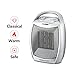 Warmtec 1500W Ceramic Space Heater with Carry Handle Adjustable Thermostat Electric Desk Heater Fan (Silver)