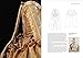 18th-Century Fashion in Detail (V&A Fashion in Detail)