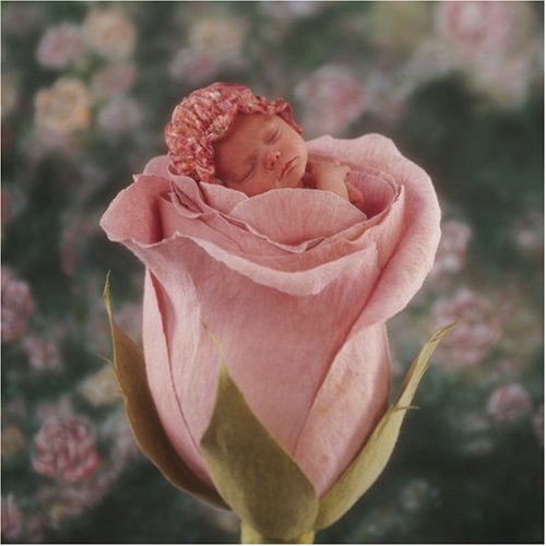 Schmidt Giochi 57962 Anne Geddes: Bambini fiori - Puzzle quadrato da 500 pezzi