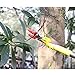 iLOT Telescopic Long Reach Pole Tree Pruner 72