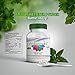 Stevia Naturevia Prebiotic Sweeteener |Natural Sweetener with Inulin, No Dextrose,No Erythritol, No Reb A, Good Taste |3 Powder jars 6.3 OZ 3-PACK