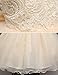 21KIDS Baby Girls Tulle Lace Flower Bridesmaid Gown Backless Dress with Bow for Party Wedding