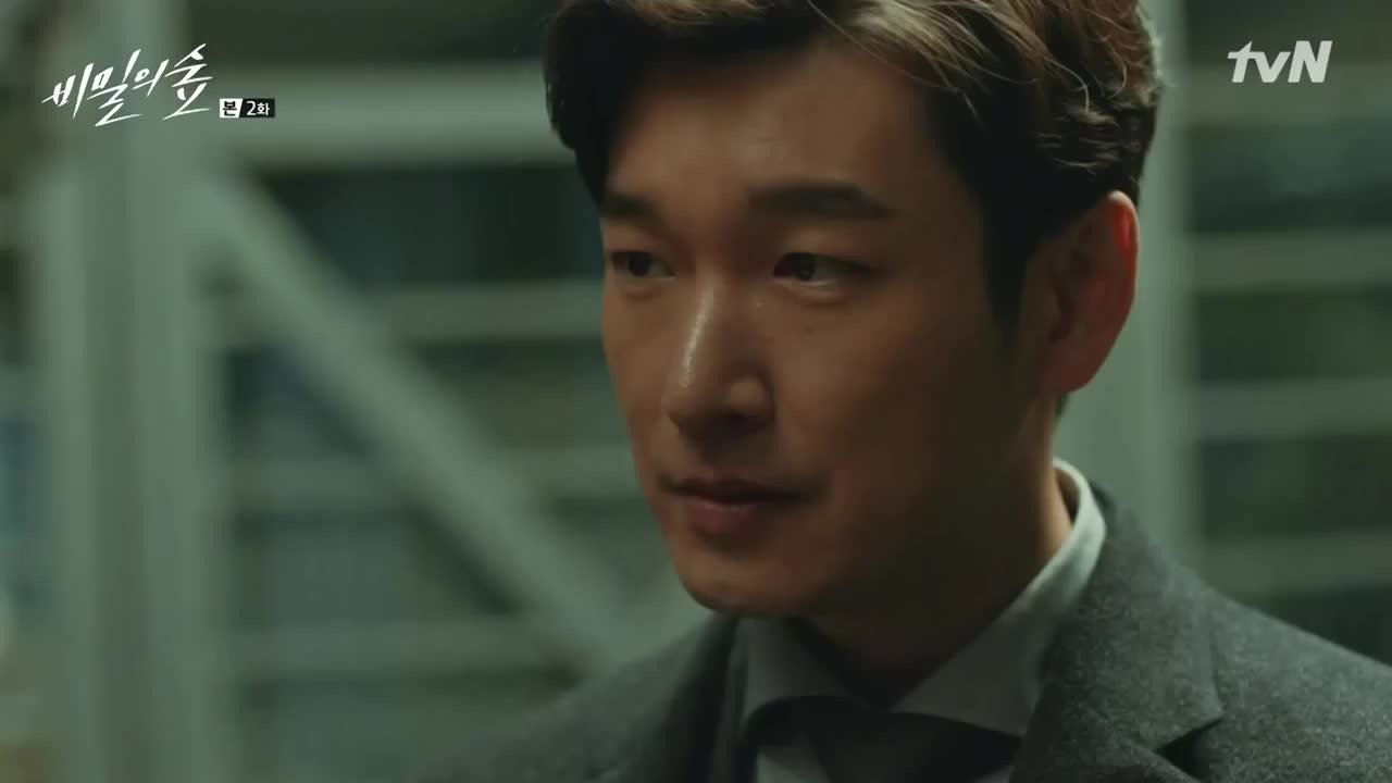 STRANGER SECRET FOREST visual data 5