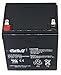 Casil CA-1240 12V 4AH Replacement Battery for ADT 804302 12V 4.5Ah Alarm