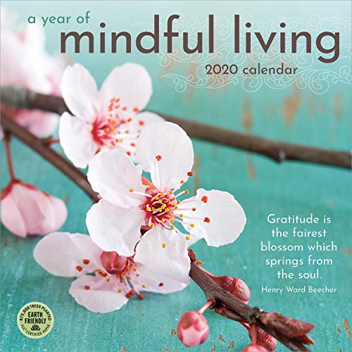 A Year of Mindful Living 2020 Wall Calendar by Amber Lotus Publishing