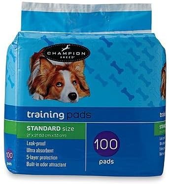 kmart training pads