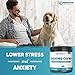 Calming Treats For Dogs - 100 Soft Chew Bites for Stress & Anxiety Relief with Valerian Root - Separation & Composure Aid for Chewing & Barking Pets with Hyperactive & Aggressive Behavior