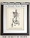 Medical Book Skeleton Torso - 11x14 Unframed Art Print - Great Gift For Nurse, Doctor and Medical Student and Home and Office Decor Under $15