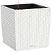 Lechuza Cube Cottage 50 Self-Watering Garden Planter, White Wicker, 19