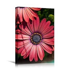 signwin Canvas Wall Art Red Fields Bohemian Colorful...