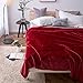 Luxury Collection Microplush Flannel Fleece Blanket | Ultra Soft 380 GSM Lightweight All-Season Anti-Static Throw/Blanket for Sofa Couch Bed (Throw (50'' x 60''), Burgundy)