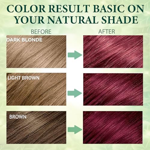 NCEPROHR WINE RED HAIR COLOR SHAMPOO 3 IN 1 FOR DARK HAIR, NATURAL RED HAIR DYE SHAMPOO EASY TO USE & LONG LASTING, 16.90 FL OZ (RED WINE)
