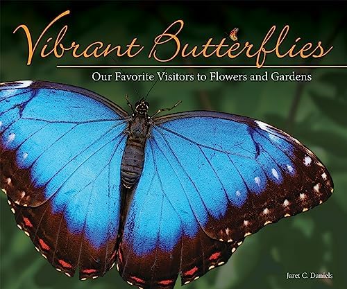 The 100 Most Beautiful Butterflies in the World: A minimalist