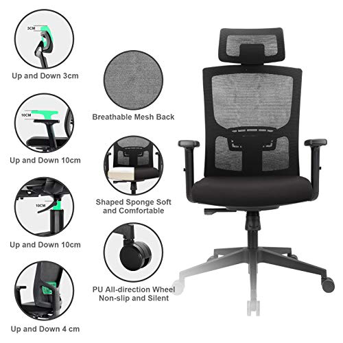 Ergousit Ergonomic Mesh Office Chair, Home Office Desk Chair High Back