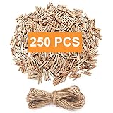 aHeemo Mini Clothespins, Mini Natural Wooden Clothespins with Jute Twine, Multi-Function Clothespins Photo Paper Peg Pin Craf