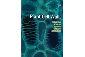 Plant Cell Walls