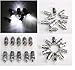 HOSL 24x White LED Party Lights For Paper Lanterns Balloons Floral Decoration light