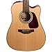 Takamine GD15CE-12 NAT-KIT-1 12-String Acoustic-Electric Guitar